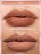 Матовая Помада SHEGLAM Matte Allure Lipstick - Chic 220нрго фото 2