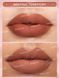 Матовая помада SHEGLAM Matte Allure Lipstick-Neutral Territory 220нрго фото 2