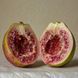 Borntostandout Black Guava (унисекс) парфюмерная вода 50ml 194/859652 фото 2