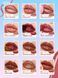 Тінт-плівка та блиск для губ 2-в-1 SHEGLAM Line To Shine Peel-Off Lip Stain & Gloss Duo 013 Peach Mousse 499/230/88963 фото 3