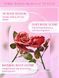 Троянда рум&rsquo;яна Sheglam Pink Ribbon Rose Blush 308rftg фото 4