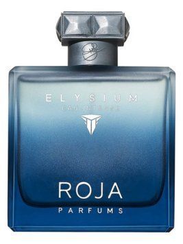 Roja Elysium eau Intense Pour Homme (чоловічі) 100ml парфумована вода 114нрг фото